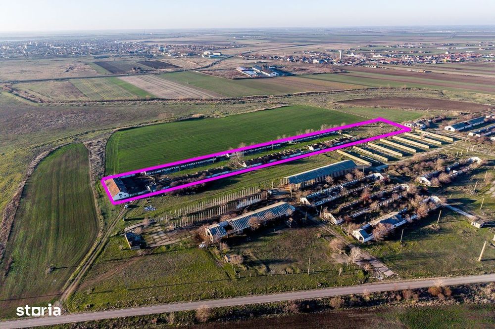 NĂDLAC | Teren 1.15 HA lângă Autostradă | 2.500mp Hale