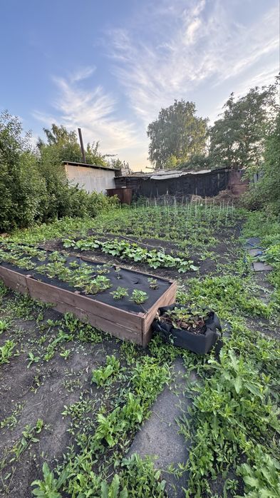 Дача в сообществе Ромашка. Дача в Ромашке