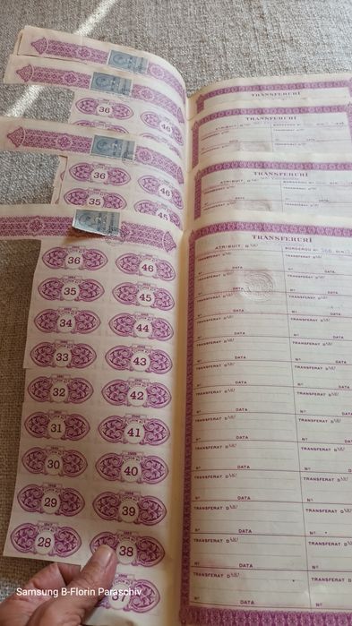 Acțiuni 1930 Societate minieră Mica