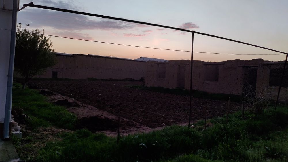 Yer sotiladi 6 sotix