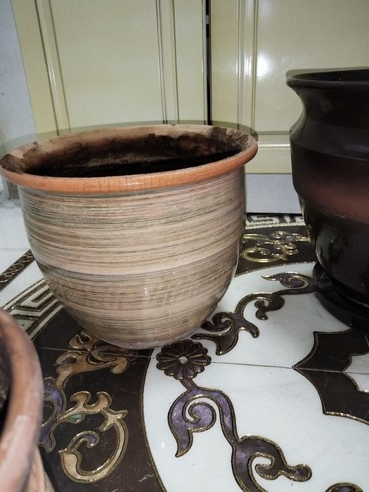 Все горшки за 5000!