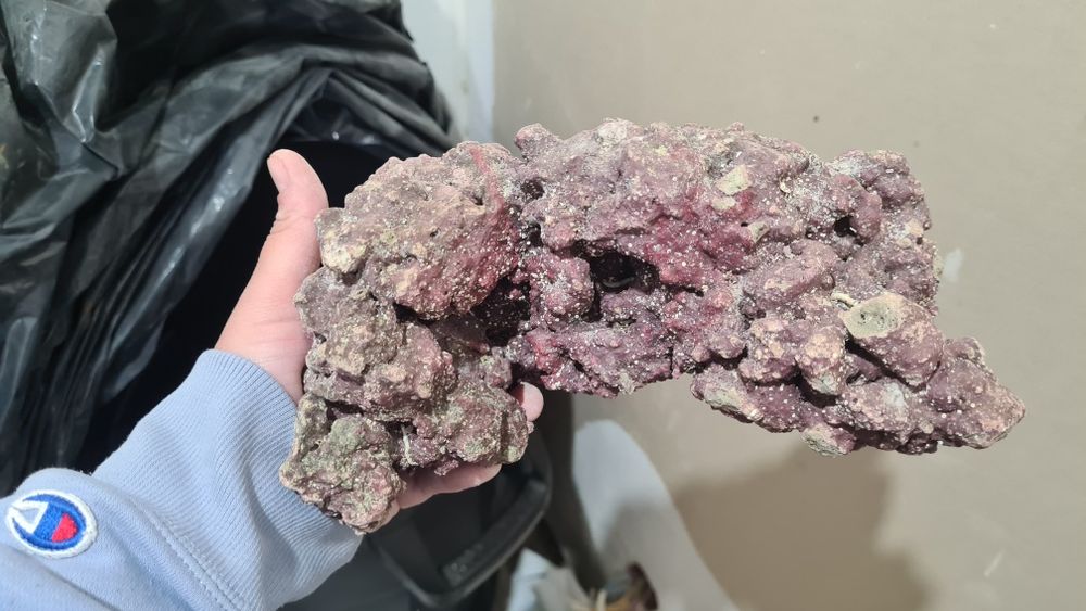 Piatra (Roca) marina Caribsea