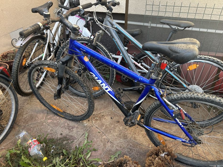 Vand biciclete Giant