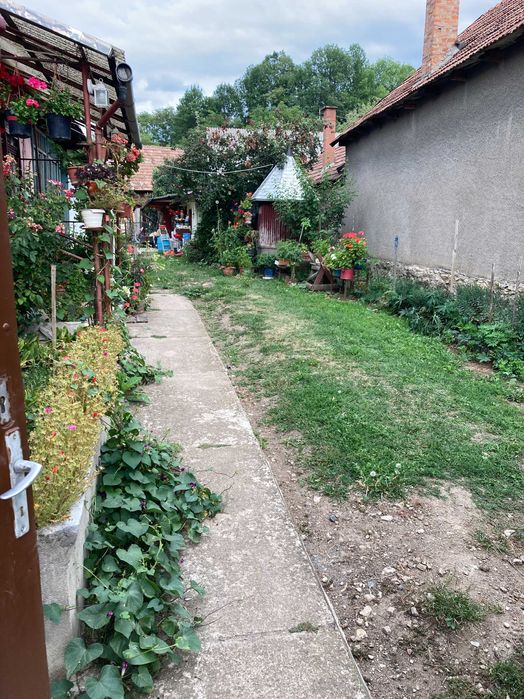 Casa  de vanzare-de inchiriat