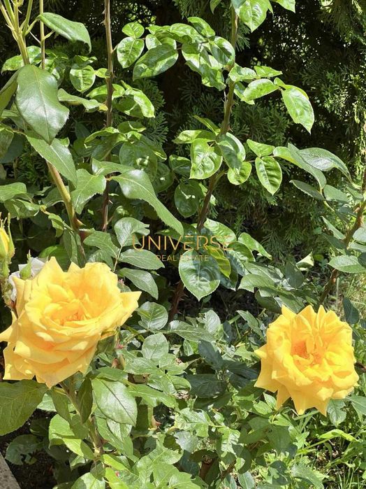 Продава се Двустаен апартамент в Свети Влас - 69 кв.м за 1334 €/кв.м - Снимка #12