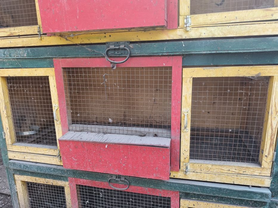 Пклеткм для курей