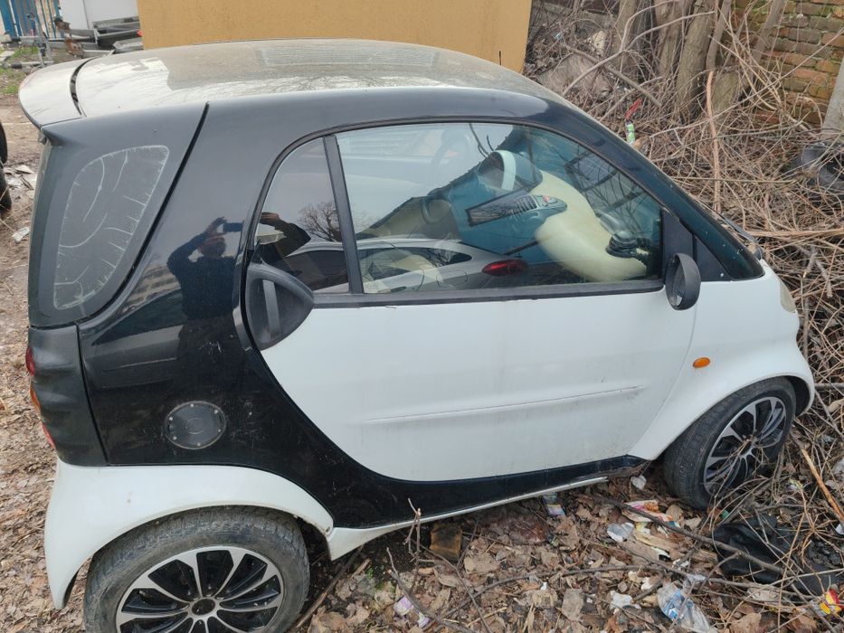 Aripa fata spate capota smart fortwo