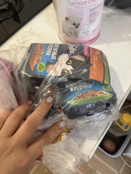 всё для для котенка г атырау