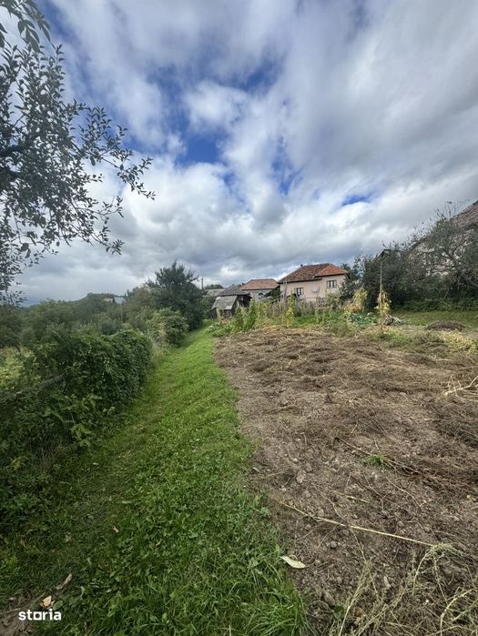6.605 mp de natura pura – refugiu, afacere sau investitie in Candest