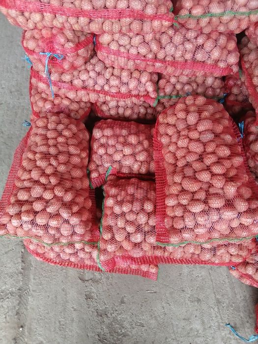 De vanzare cartofi samanta