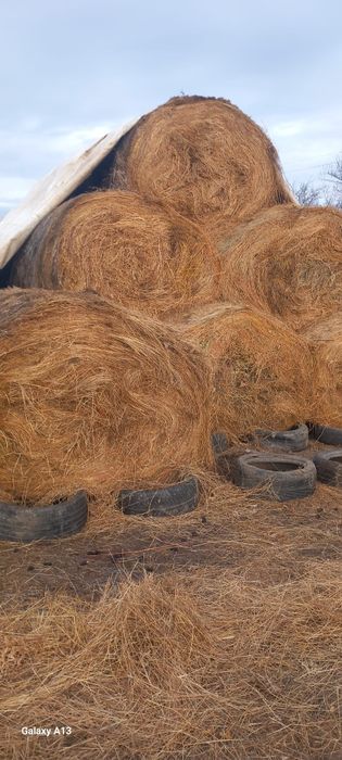 Baloti mari de FAN 180/120 mărime