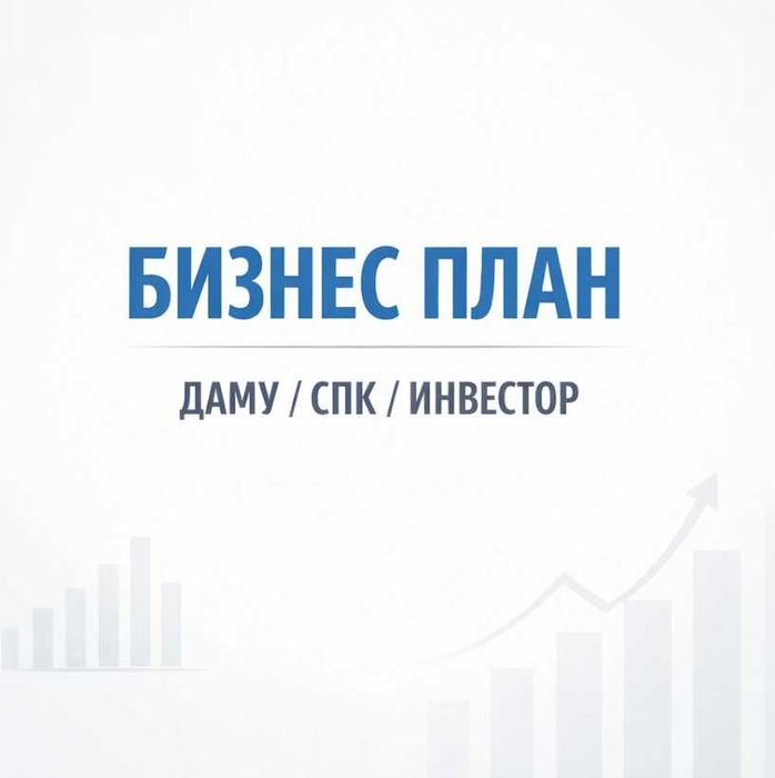 Бизнес план для ДАМУ / Инвесторов / СПК