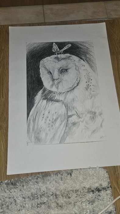 Desen original 50x70 cm în creion – Bufnița și fluturele