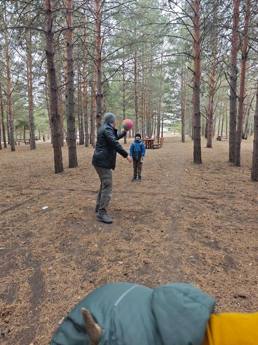 Картины маслом разных размеров