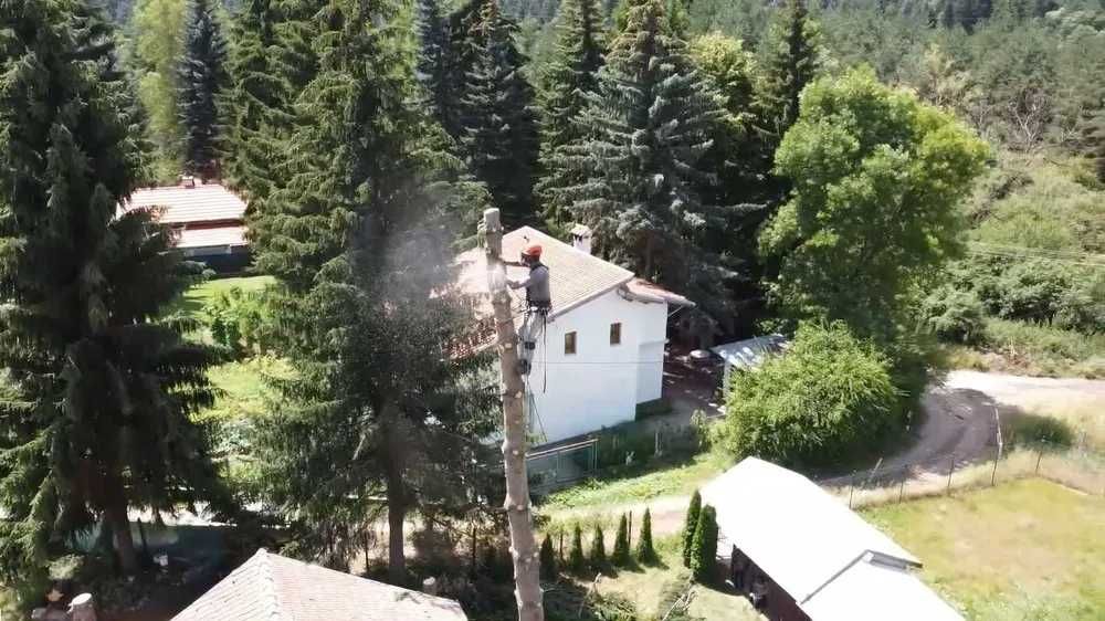 Сечене рязане оформяне на опасни дървета Арборист Вишка Кран - Договор