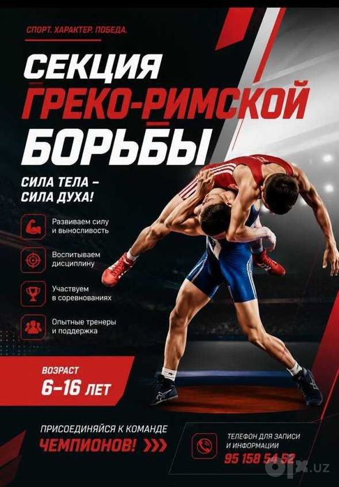 Секция греко-римской борьбы