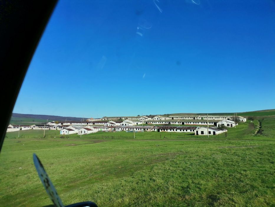 Продава се Парцел в с. Хаджиите, Област Бургас - 6600 кв.м за 16 €/кв.м - Снимка #2