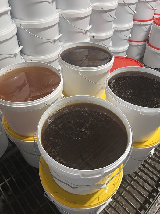 Мёд натуральный оптом