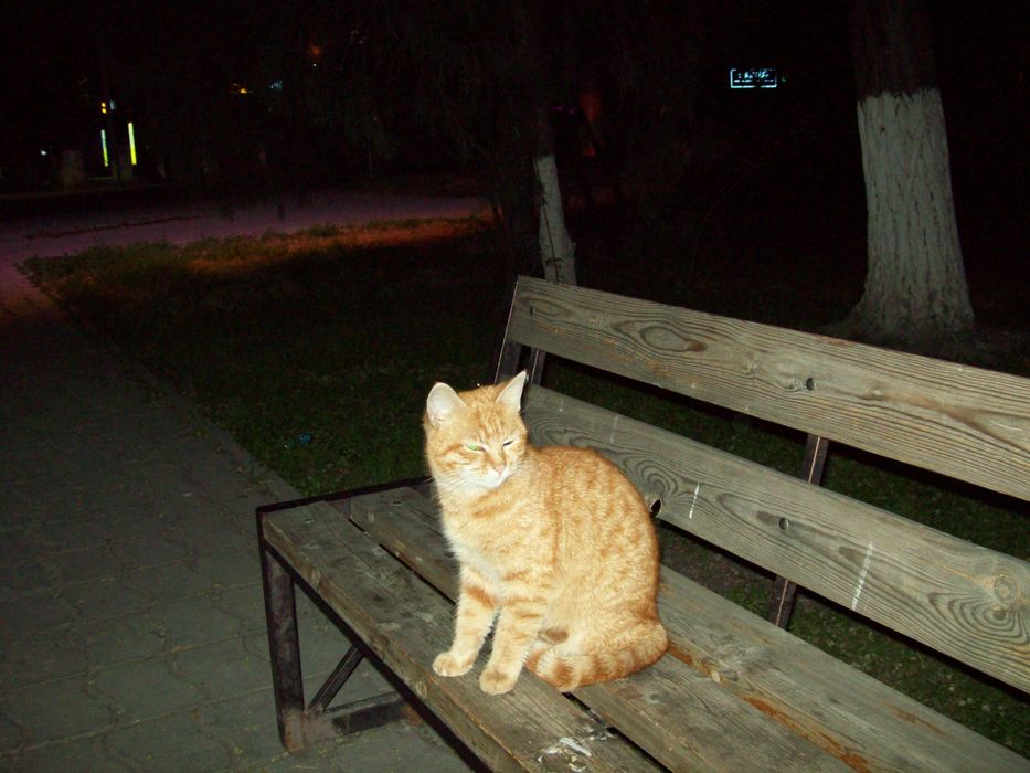 Ретро фотоаппат мыльница