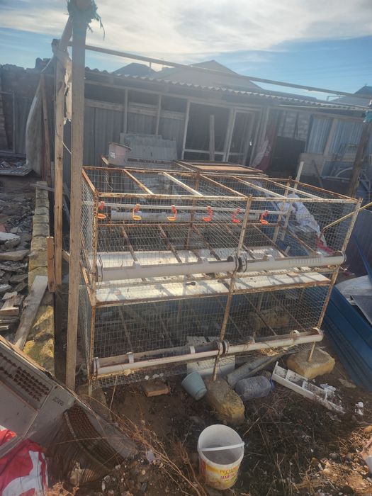 Брудер сатылады 3шт