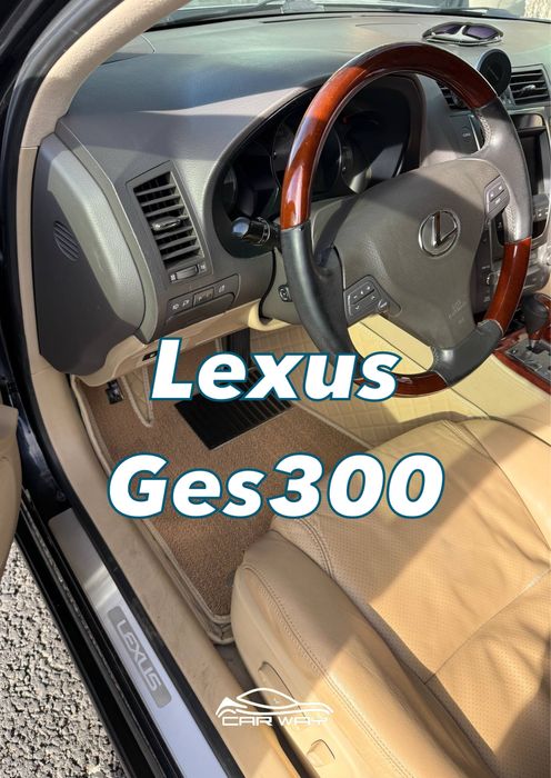 10D polik / коврики для Lexus Ges300