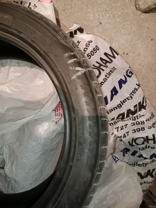 Донгелек жаздык жагдайы жаксы