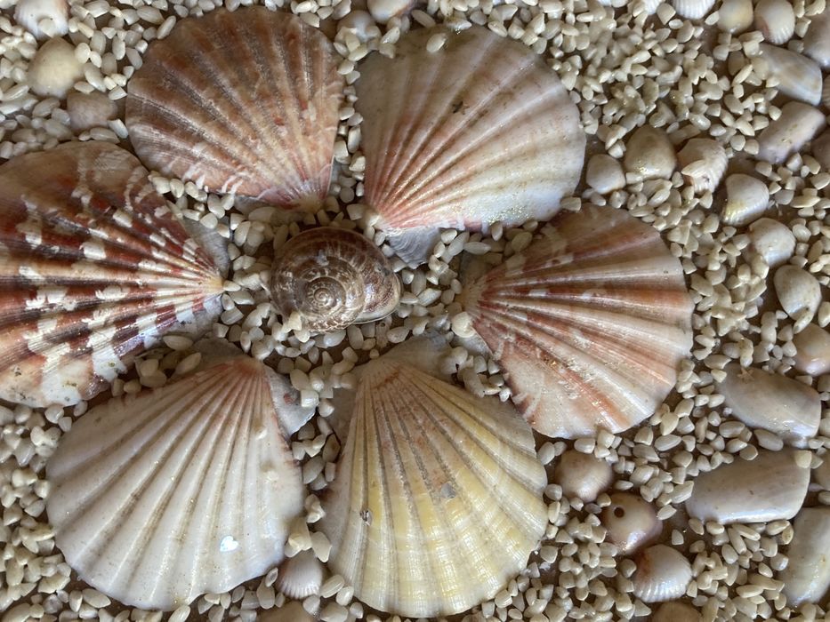 Продам картину