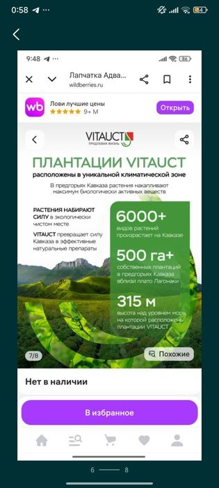 Лапчатка белая 600мг (объем 250мл)