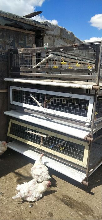 Продам клетки для кур