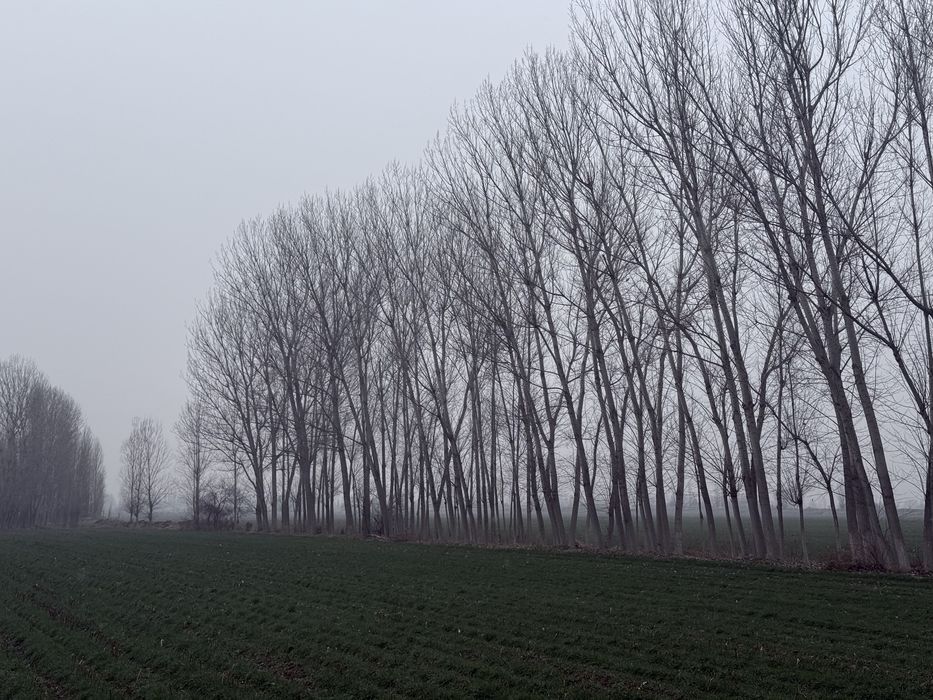 Терак сотилади | Terak sotiladi срочный