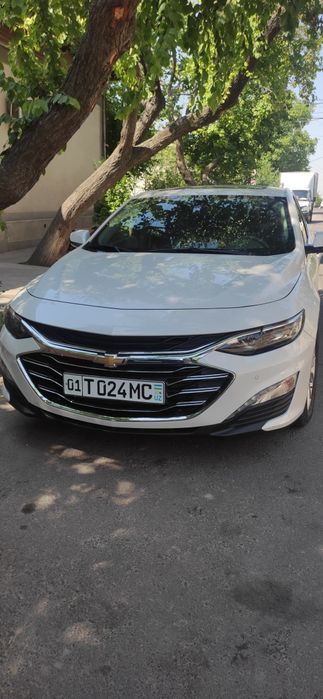 MALIBU 2 VA JETOUR Dashing Sayoxat va Ziyorat qiluvchilar uchun Biznes