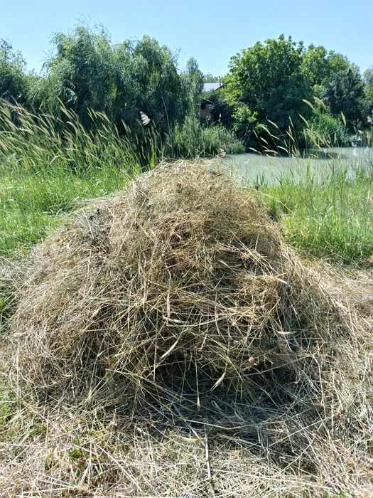Продаётся Луговое Сено