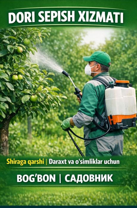 Dori sepish Xizmati