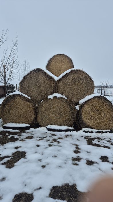 Рулонни бали пшеничена слама