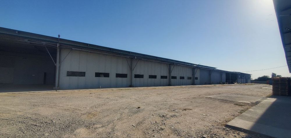 Аренда складских помещений 2500 м² Янгихаетский р-н (ТЛ)