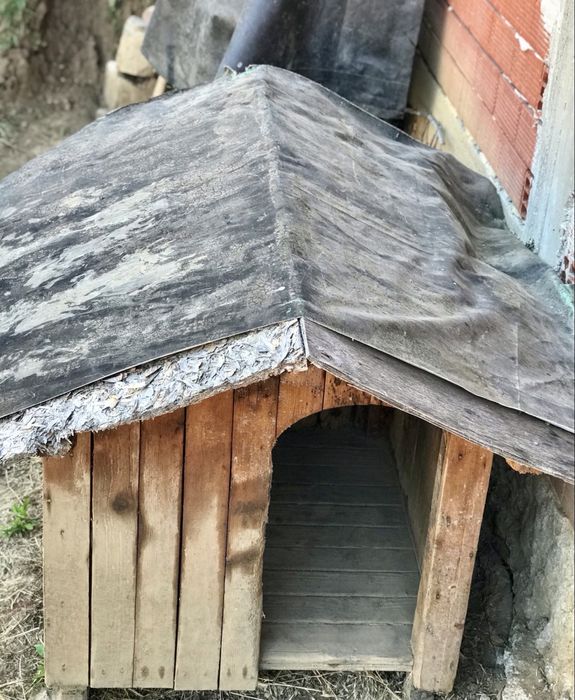 Масивна, голяма кучешка колиба