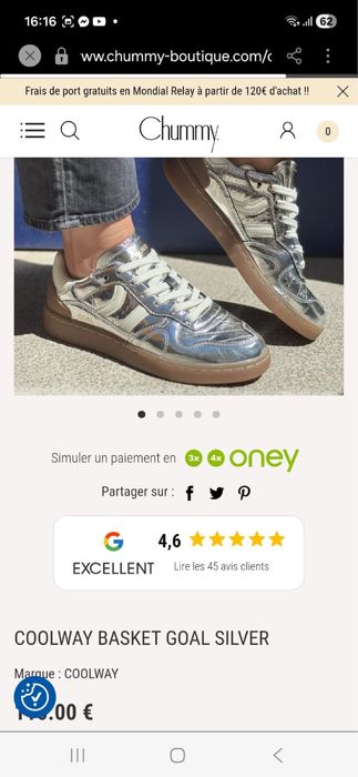 Coolway basket goal silver