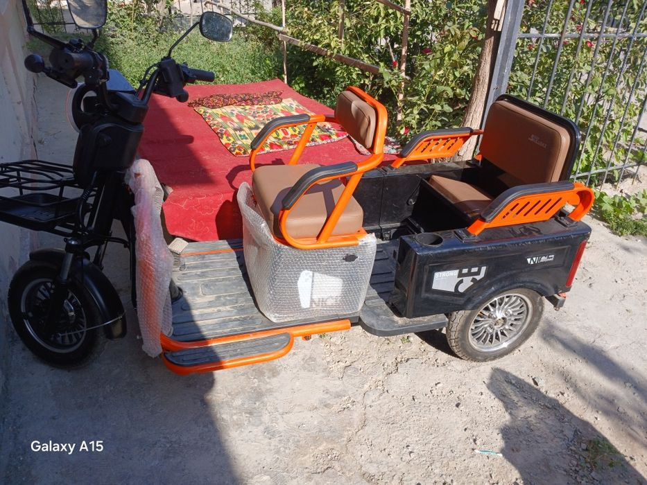 Электронной  мапет муравей