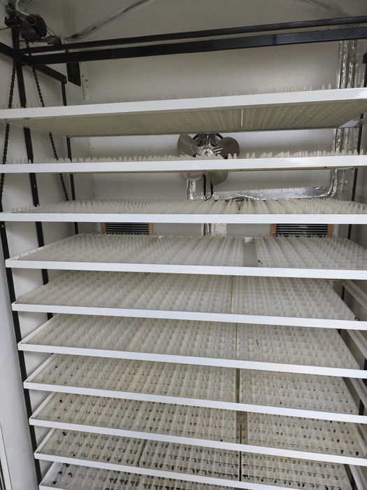 Incubator automat BIM 2640 oua găină