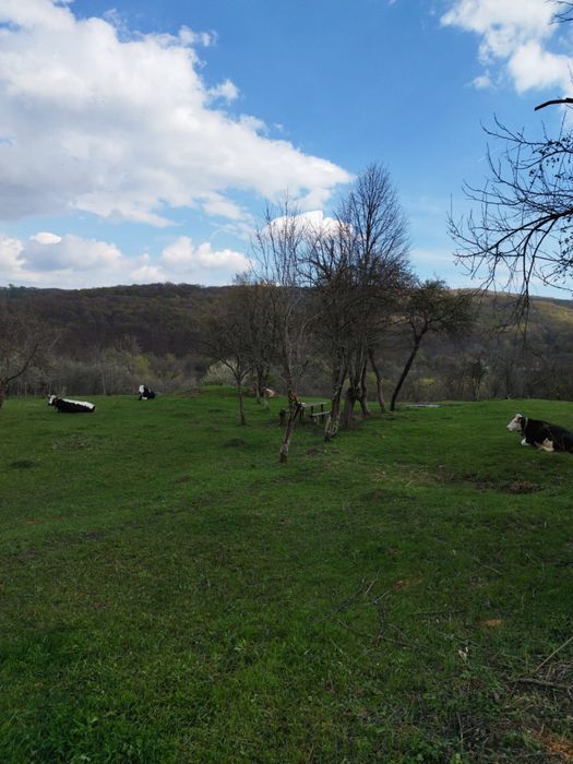 Vand teren intravilan