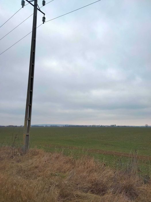 Vand teren intravilan, 14800 mp, str Carpati, Baicoi / PH