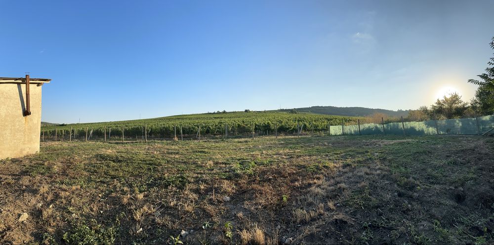 Vând teren intravilan în Huși!