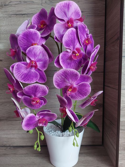 Orhidee din silicon
