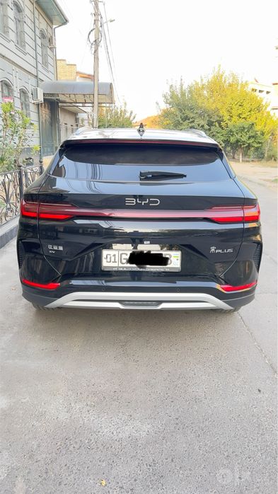 BYD chempion 2024