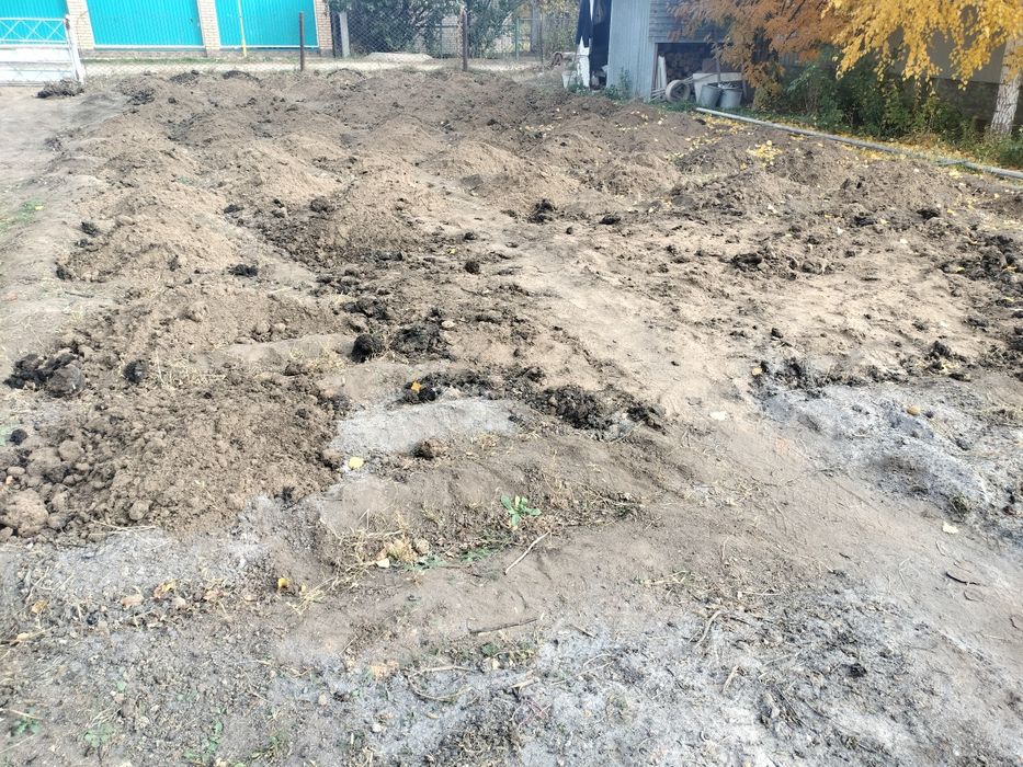Оказываю разные виды услуг