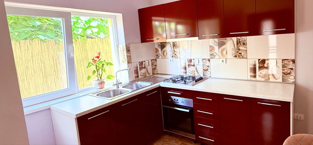 Proprietar-Casa individuala 3 dormitoare Giroc-Vatra satului