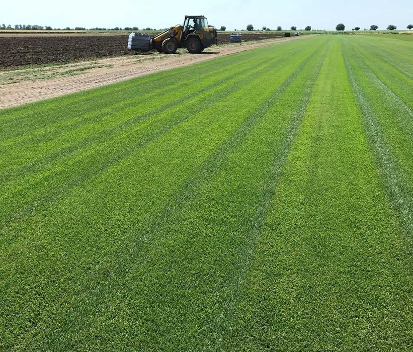 Gazon Rulou Sisteme de Irigare