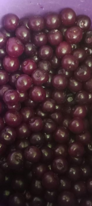 Продам дачу в чистом районе.  Трасса остановки.