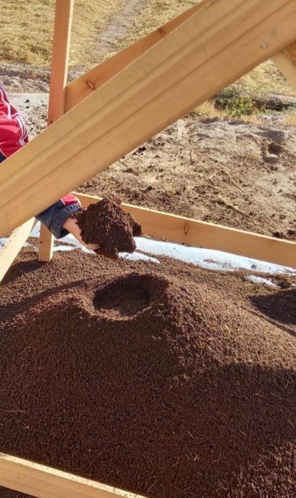 Biogomos sotiladi 100 foiz kafolat