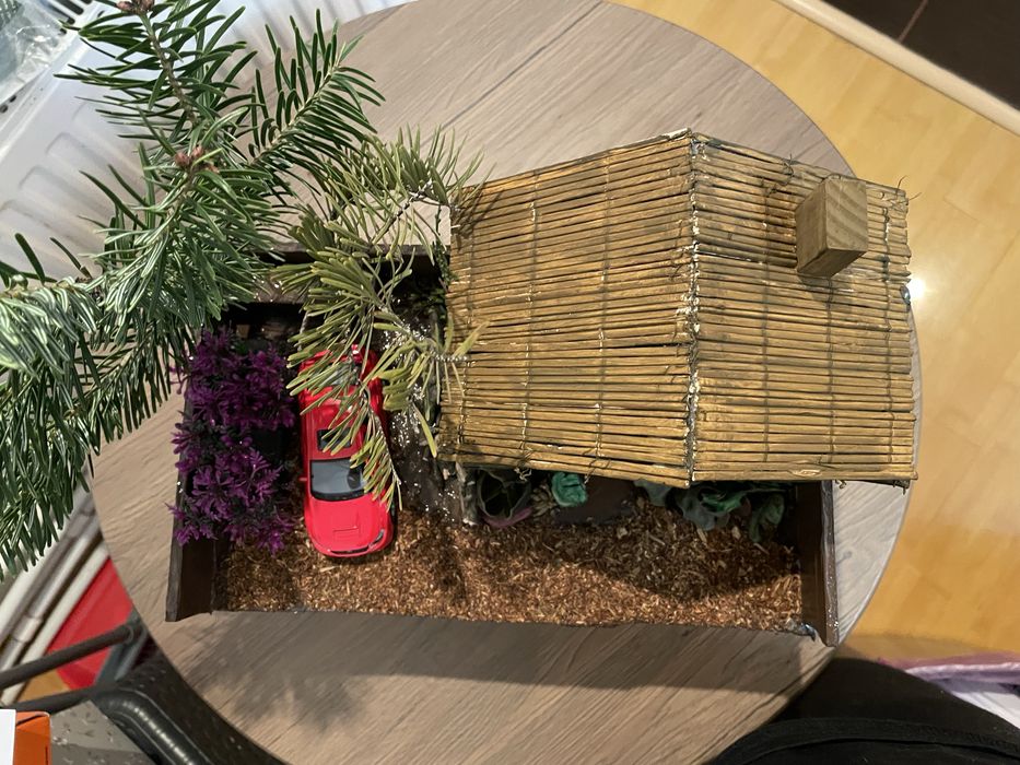 Dioramă Casă și curte